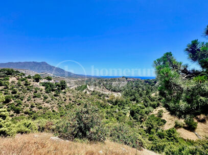 One Thirty-Eight - Plot with Approved Luxury Villa Project