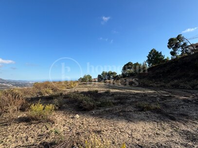 The Net - Plot with Approved Project in La Zagaleta