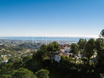 The Net - Plot with Approved Project in La Zagaleta