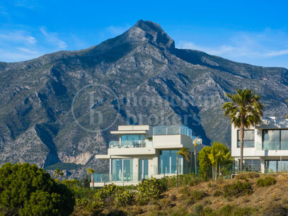 Villa Riva - Contemporary in Nueva Andalucía, Marbella