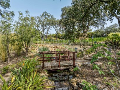 Finca La Mairena - Luxury Country Estate for Sale Near La Mairena