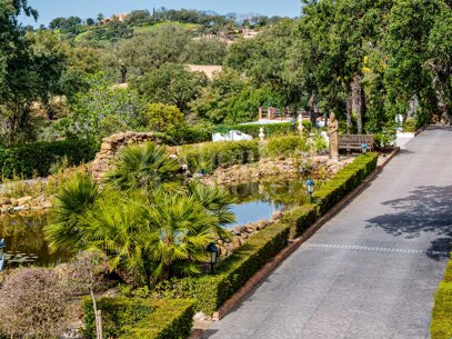 Finca La Mairena - Luxury Country Estate for Sale Near La Mairena