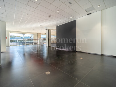Puerta De Banus - Renovated Commercial Space with Terrace and Parking