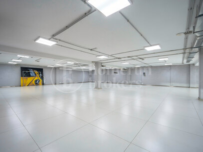 Puerta De Banus - Renovated Commercial Space with Terrace and Parking