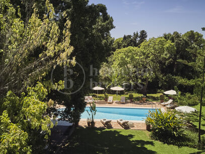 Luxury Marbella Villa with Private Pool, Padel Court & Steps from Puente Romano
