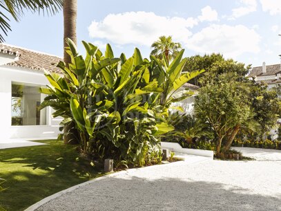 Luxury Beachfront Retreat with Private Pool in Puente Romano