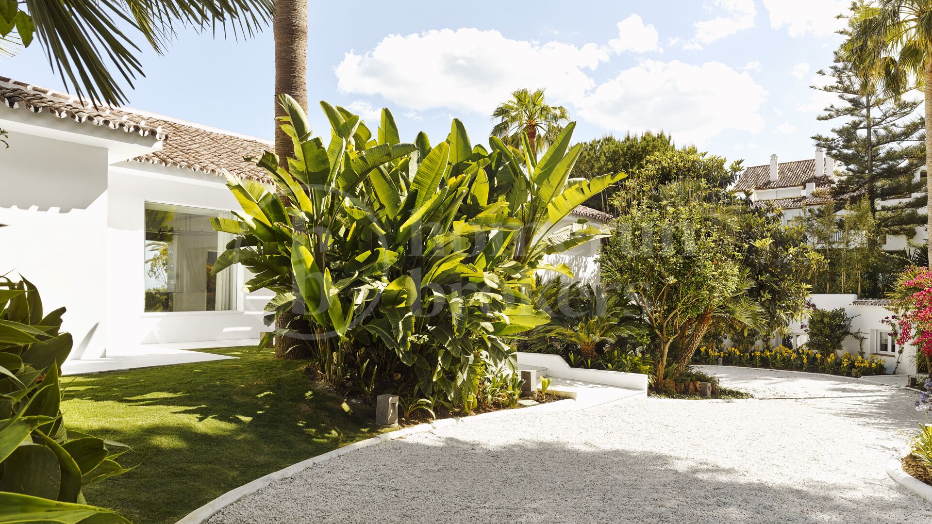 Luxury Beachfront Retreat with Private Pool in Puente Romano