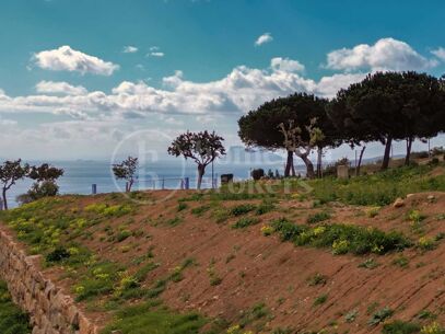 Plot -Bahía de las Rocas - Plot with Approved Villa Project and Building Licence