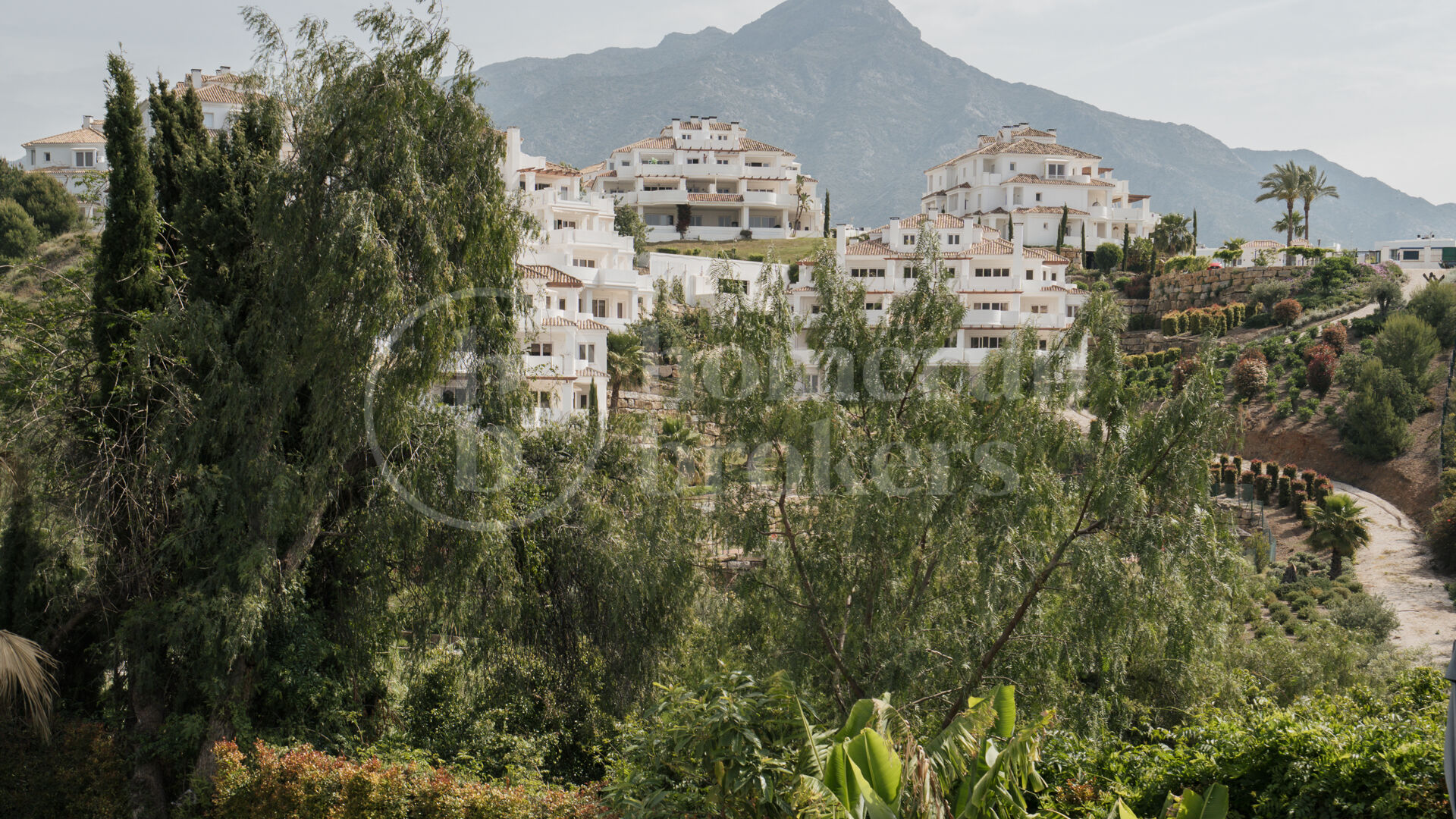 Villa Elara - Renovated Villa in. Los Naranjos Hill Club