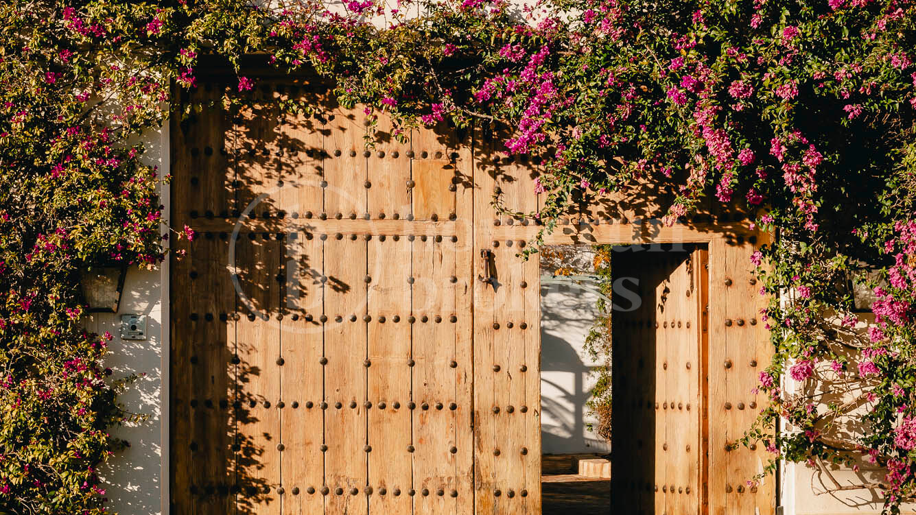 Luzara - Privat Wellnessvilla i Marbella för Retreat och Events