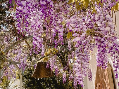 Luzara - Privat Wellnessvilla i Marbella för Retreat och Events