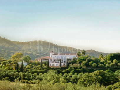 Luzara - Privat Wellnessvilla i Marbella för Retreat och Events