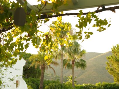 Luzara - Privat Wellnessvilla i Marbella för Retreat och Events