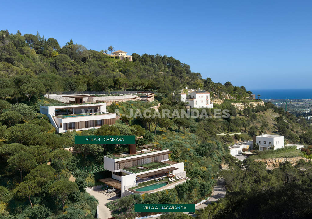 Villa Jacaranda