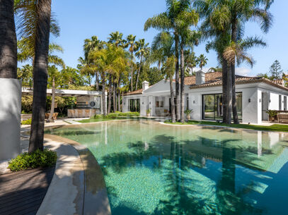 Casa Cenote - Villa med en tropisk Resort Känn i Nueva Andalucia
