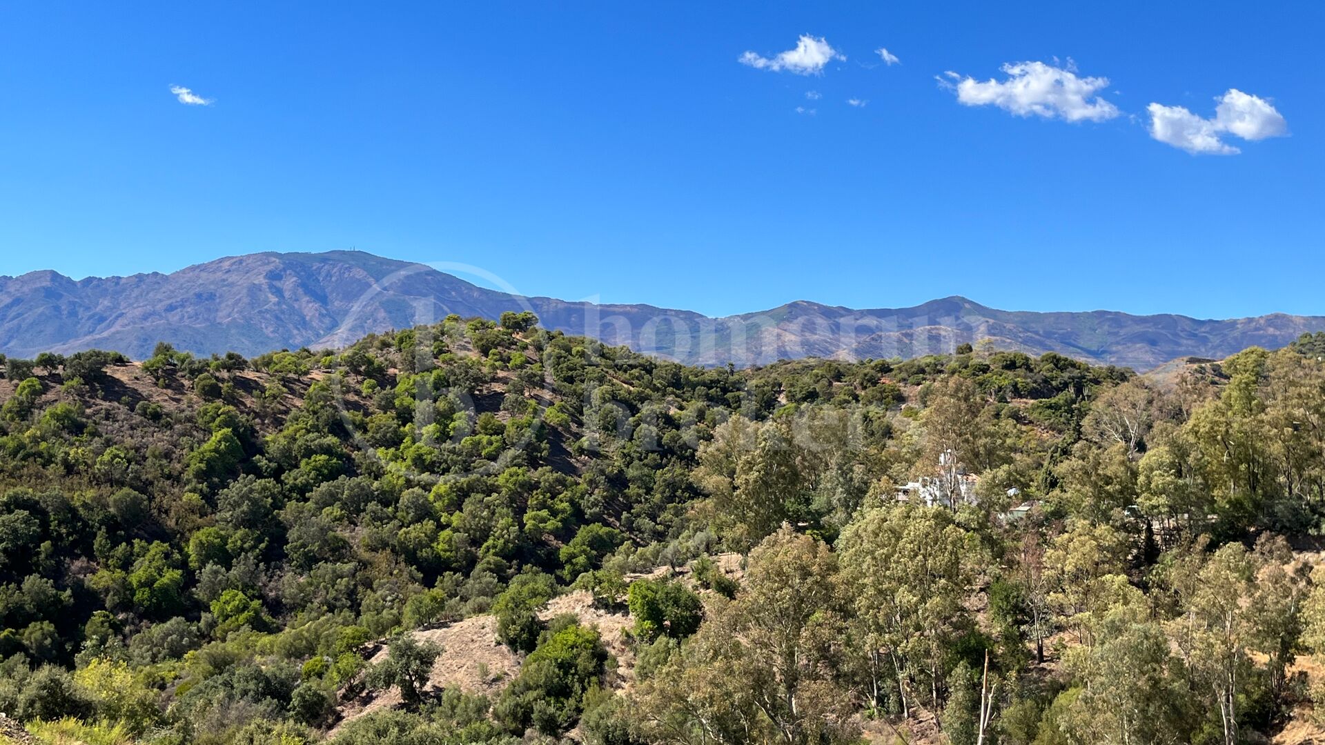 Plot La Panera - Located on The New Golden Mile, Estepona