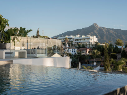 Villa Ama - Renovated Villa in the Lower part Nueva Andalucia