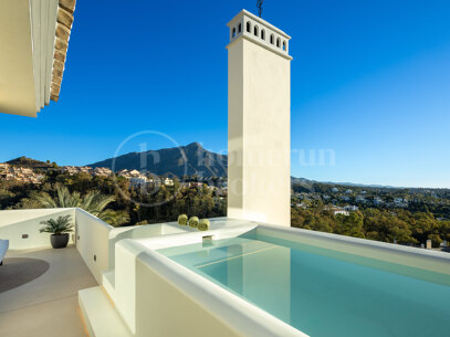Penthouse Maison Montaigne - Los Belvederes
