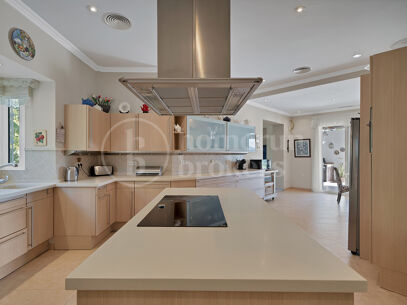 Villa Zanalita - Mansion with Panoramic Views in Nueva Andalucia