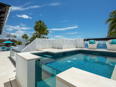 Penthouse One - A Remarkable Property in Puente Romano