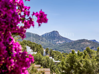 Villa Pura Vida - Magnificent sea views