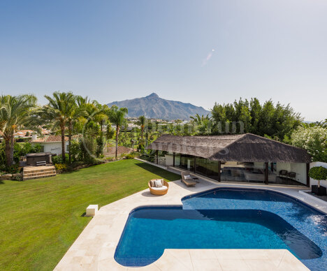 Villa Katerina - In Las Brisas Golf, Nueva Andalucia Marbella