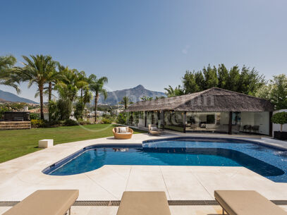 Villa Katerina - In Las Brisas Golf, Nueva Andalucia Marbella
