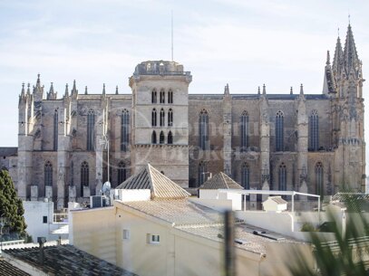 Palace Palau - Historic home in Palma