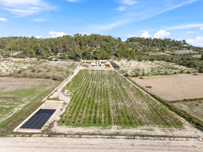 Finca La Perle – Självförsörjande finca med egen vingård