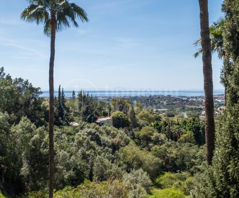 Apartment Monte Halcones 2 - Cozy Apartment in Benahavis