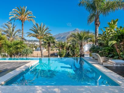 Casa Las Brisas - Renovated Villa in Las Brisas, Nueva Andalucia