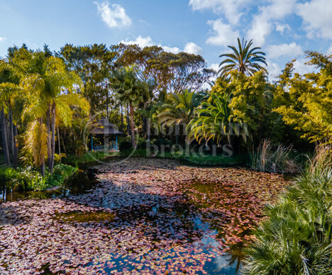 Villa el Cortijo - Sea Views