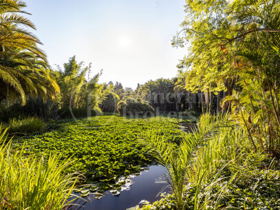 Villa El Cortijo - Historic Mansion on the Golden Mile