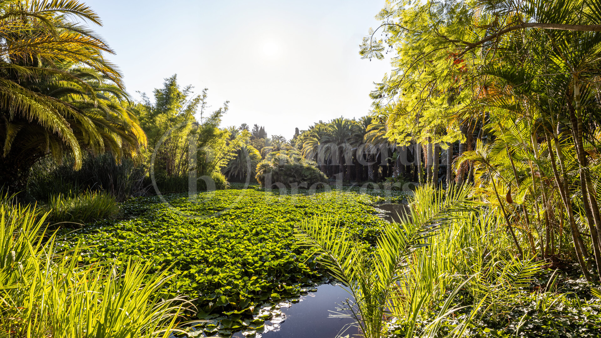 Villa El Cortijo - Historic Mansion on the Golden Mile