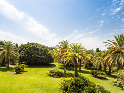 Villa El Cortijo - Historic Mansion on the Golden Mile