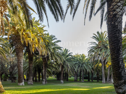 Villa El Cortijo – Historisk Herrgård på Marbellas Golden Mile