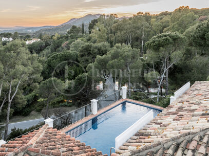 Madroñal 1- Andalusian Villa with Stunning Sea and Mountain Views