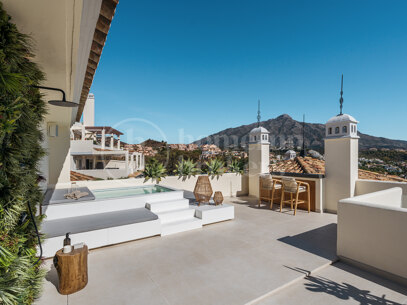 Maison Fuzei - Totally Renovaded Duplex Penthouse in Palacetes Los Belevederes