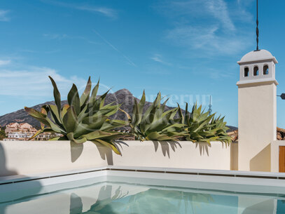 Maison Fuzei - Totally Renovaded Duplex Penthouse in Palacetes Los Belevederes