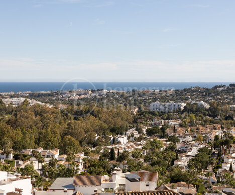 Apartment 9 Lions - in Nueva Andalucia, Marbella