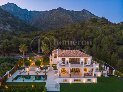 Villa Vivaldi - Elegant Contemporary Villa in Sierra Blanca
