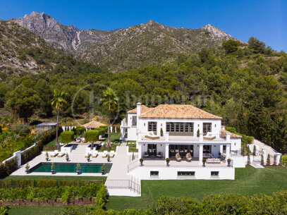 Villa Vivaldi - Elegant Contemporary Villa in Sierra Blanca