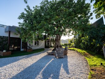 Villa True Love – A Luxurious Retreat in Fuente del Espanto, Benahavís