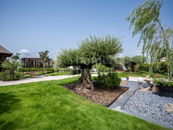Villa True Love – A Luxurious Retreat in Fuente del Espanto, Benahavís