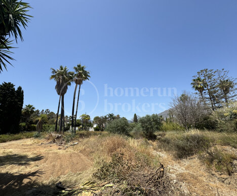 Plot Atalaya de Rio Verde, Nueva Andalucia