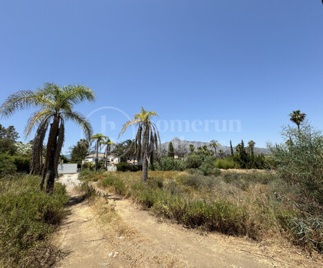 Plot Atalaya de Rio Verde, Nueva Andalucia