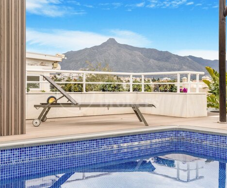 Apartment Embrujo - Fully Renovated Duplex Penthouse in Puerto Banús