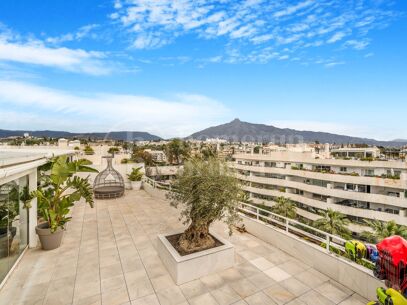 Apartment Embrujo - Fully Renovated Duplex Penthouse in Puerto Banús