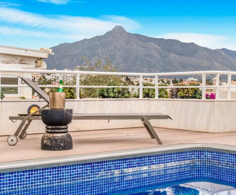 Apartment Embrujo - Fully Renovated Duplex Penthouse in Puerto Banús