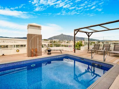 Apartment Embrujo - Fully Renovated Duplex Penthouse in Puerto Banús